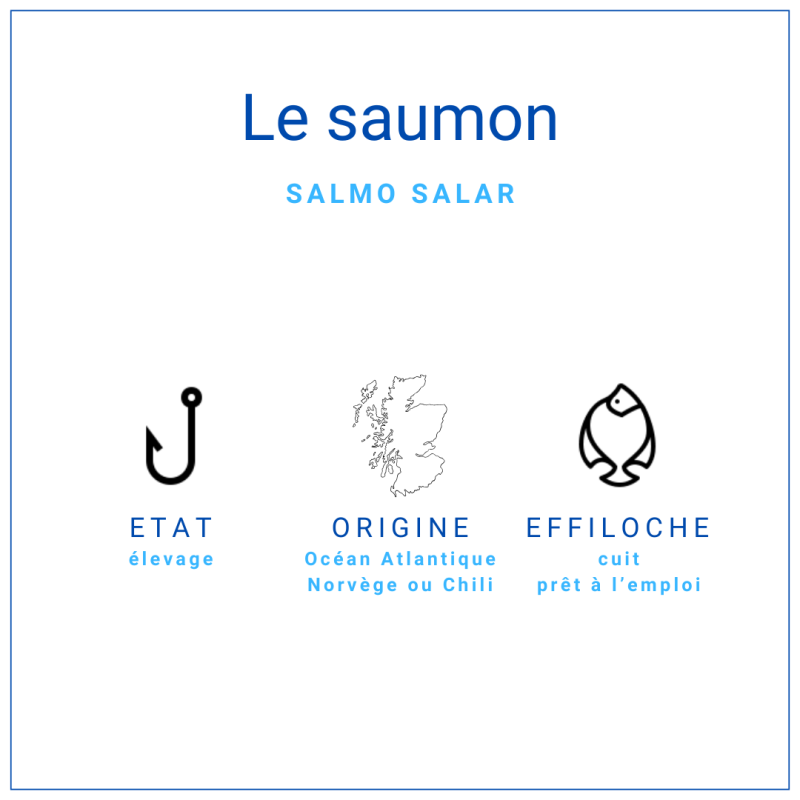 Effiloché de saumon Atlantique surgelé sous vide