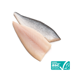 Filet surgelé IQF de dorade royale avec peau