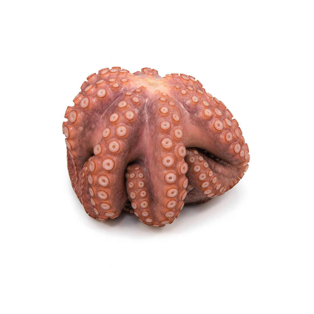 Poulpe entier nettoyé cru surgelé +/-400gr