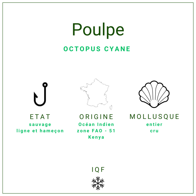 Poulpe entier nettoyé cru surgelé +/-400gr
