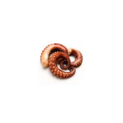 Demi tentacules poulpes cuits sous-vide 40gr