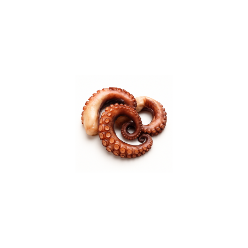 Demi tentacules poulpes cuits sous-vide 40gr