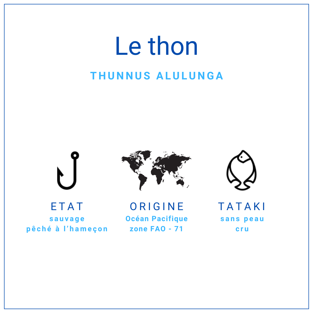 Tataki de thon 100% germon +/- 450gr Tataki de thon 100% germon +/- 450gr