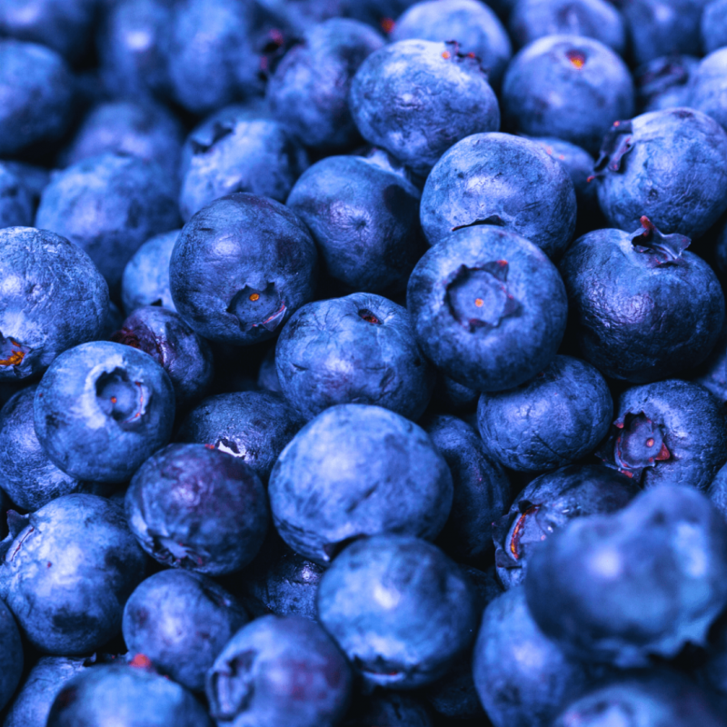 Myrtilles calibrées surgelées IQF 1kg