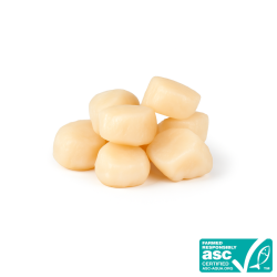 Noix de Saint Jacques certifiées ASC 20/30