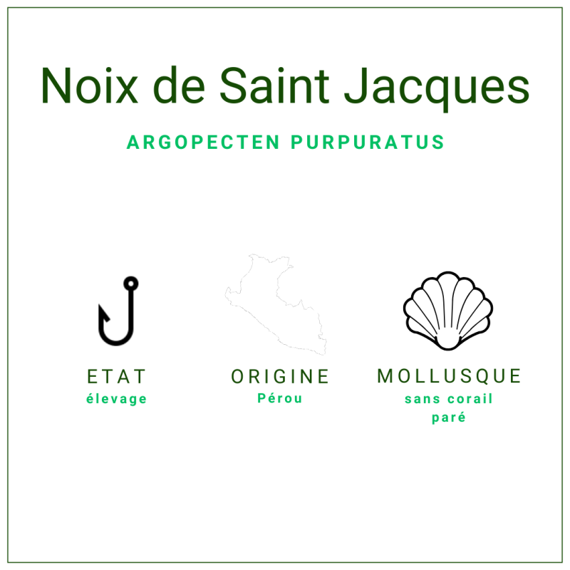 Noix de Saint Jacques certifiées ASC 20/30