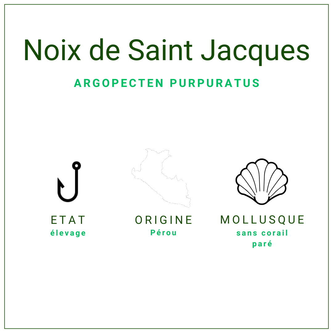 Noix de Saint Jacques certifiées ASC 20/30