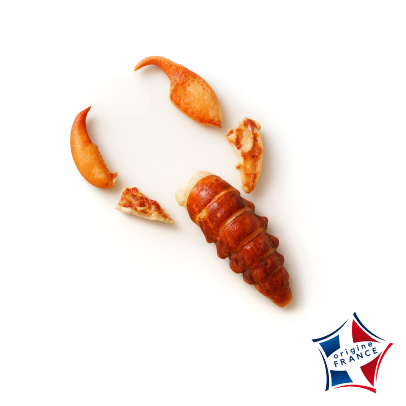 Queues et pinces de Homard décortiqués