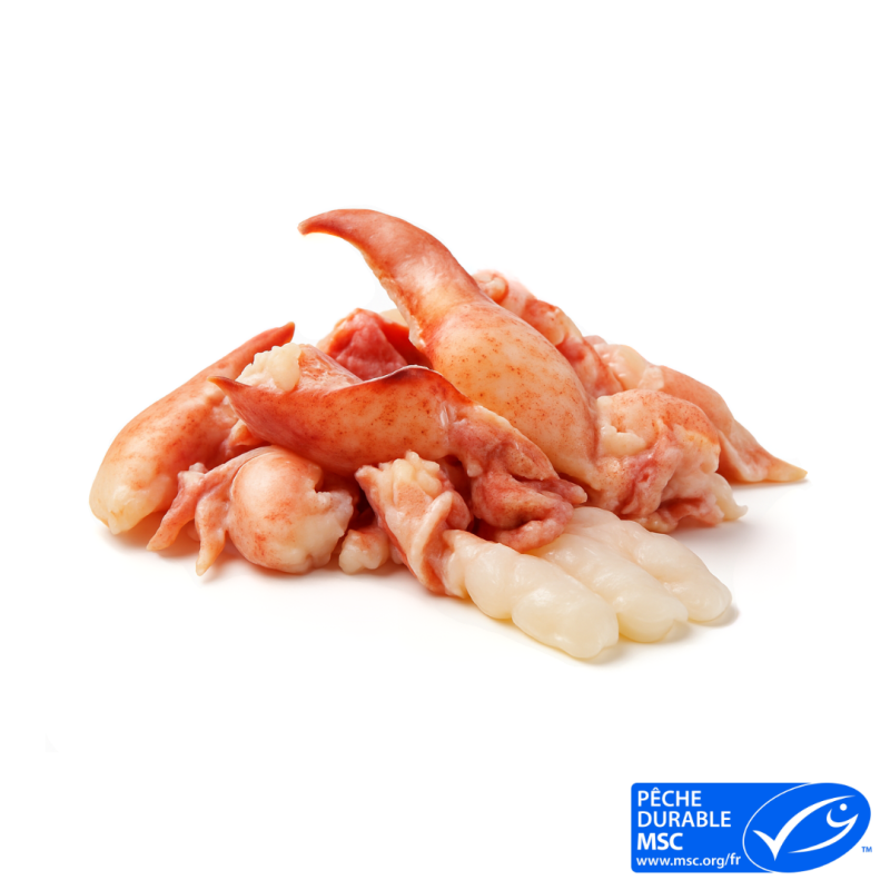 Chair de homard canadien crue 907gr