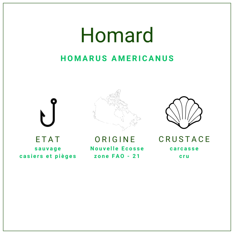 Coffres Homards Crus Canadien