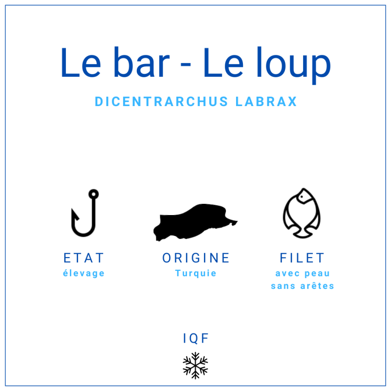 Filet de bar avec peau | Grossiste Alimentaire