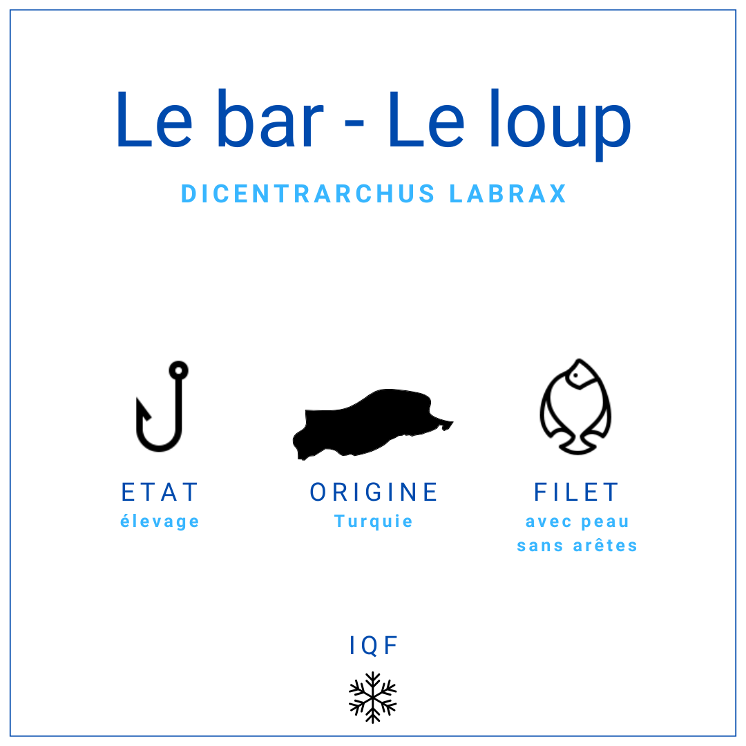 Filet de bar avec peau | Grossiste Alimentaire