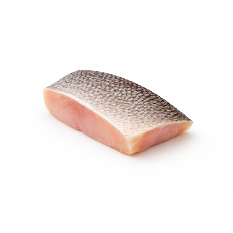 Pavé de dorade de l'océan pacifique ouest