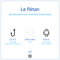 Pavé de flétan du Groenland avec peau 170/220gr