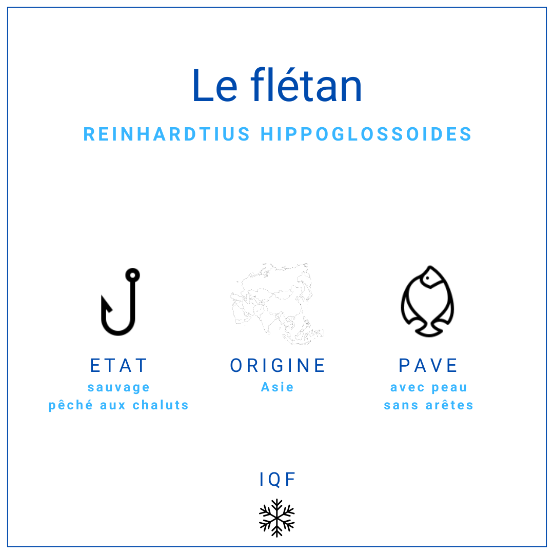 Pavé de flétan du Groenland avec peau 170/220gr