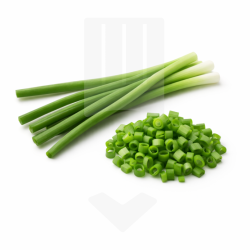 Cive coupée et surgelée IQF, protégée par un sachet ZIP