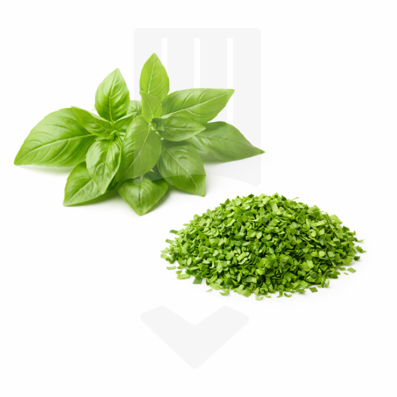 Basilic finement émincé IQF protégé en sachet