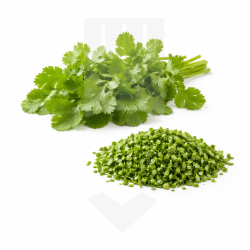 Coriandre finement émincée IQF en sachet ZIP