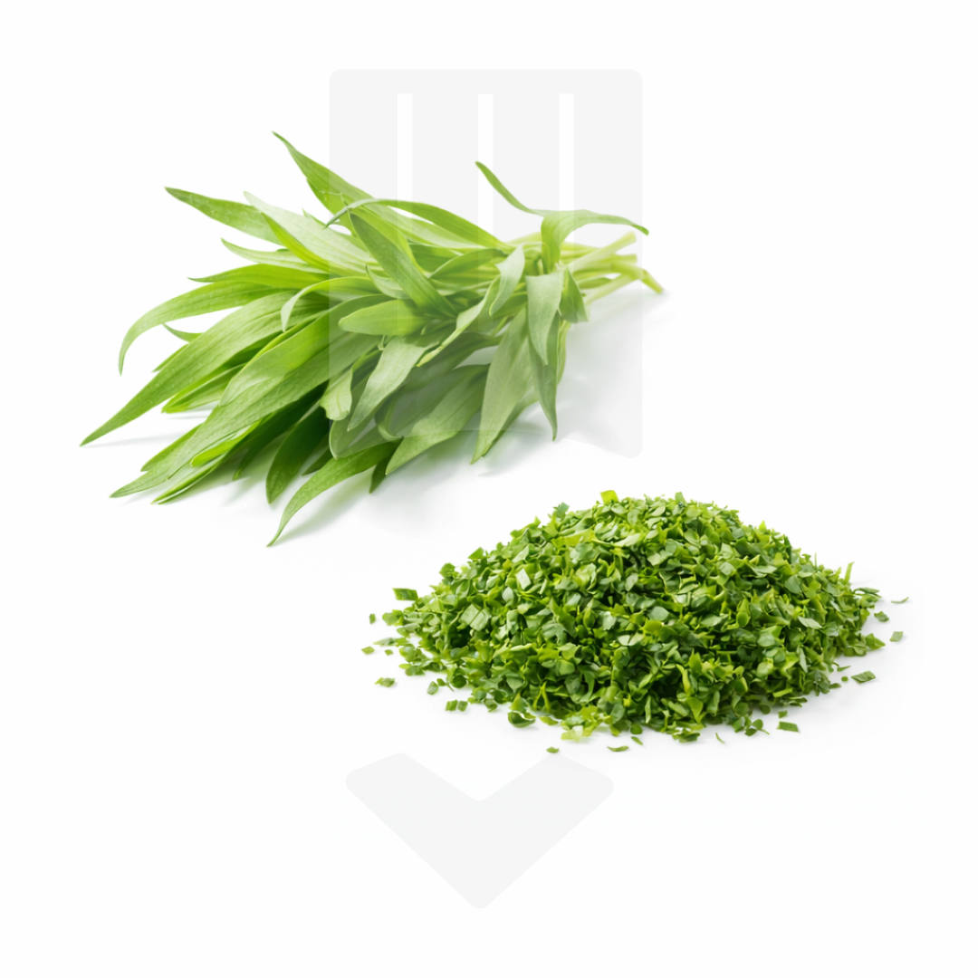 Estragon finement émincé IQF sous sachet ZIP