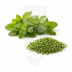 Menthe finement coupée IQF sous sachet ZIP