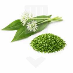 Ail des ours sauvage, ciselé et surgelé IQF