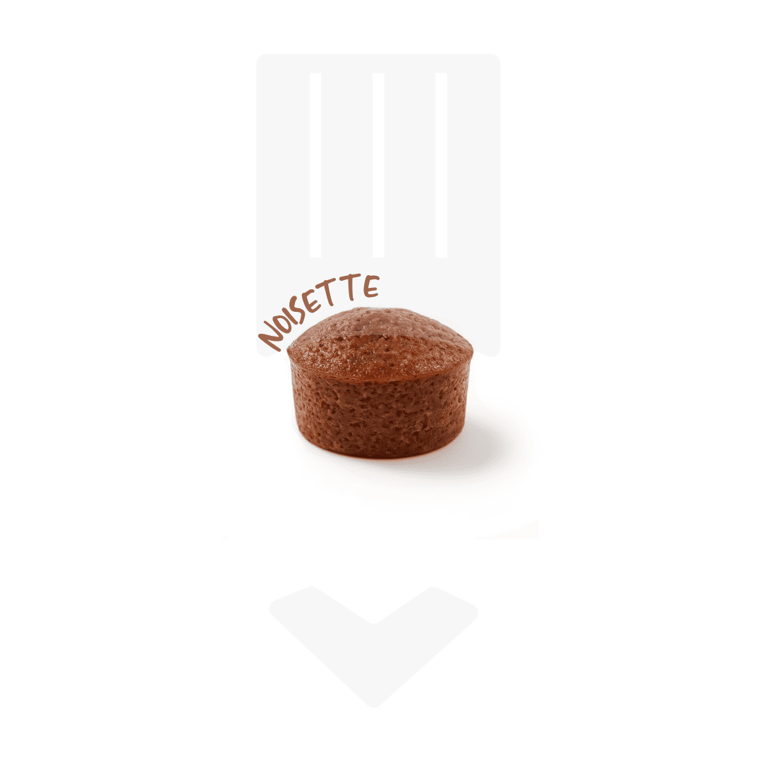 Petit four noisette, bouchon de 10gr