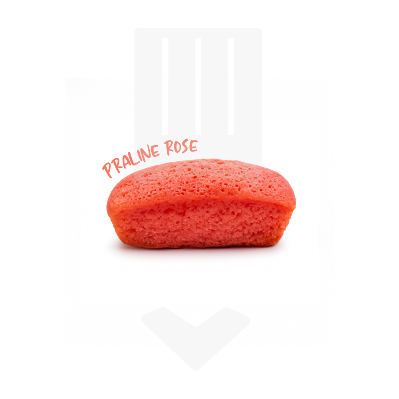 Petits fours sucrés : lingot pralines rose 30gr