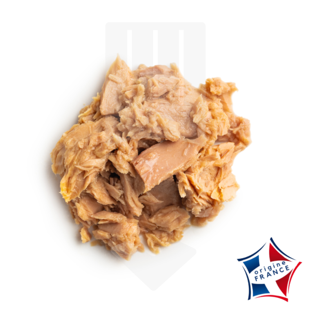 Effiloché viande de canard confit français