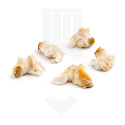 Chair de bulot cuite et surgelée IQF 1kg