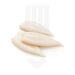 Tubes d'encornets crus et IQF de l'Océan Pacifique