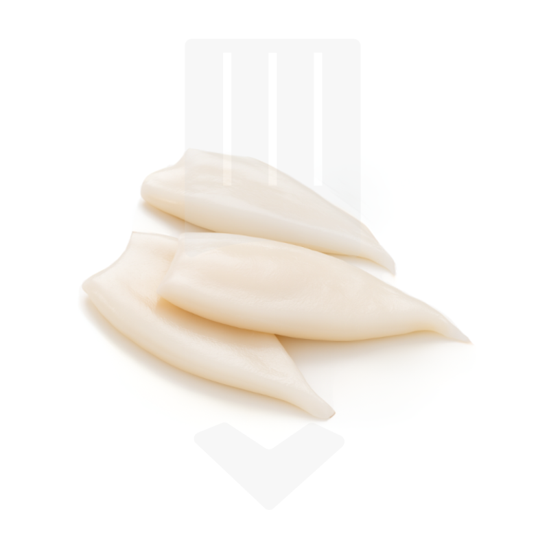 Tubes d'encornets crus et IQF de l'Océan Pacifique