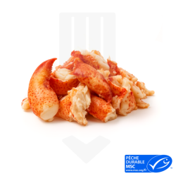 Chair de homard cuite et pêchée avec casiers