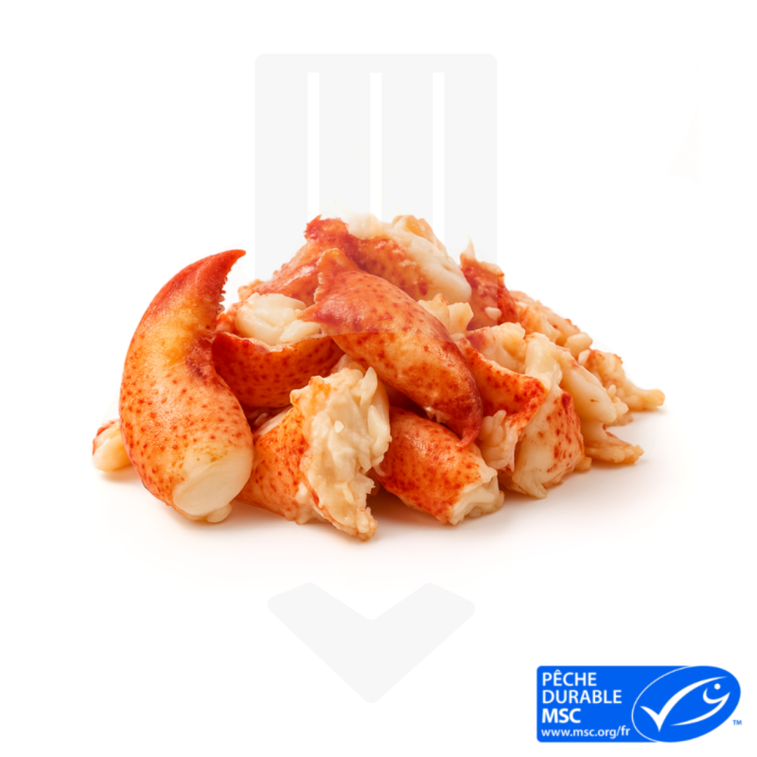 Chair de homard cuite et pêchée avec casiers