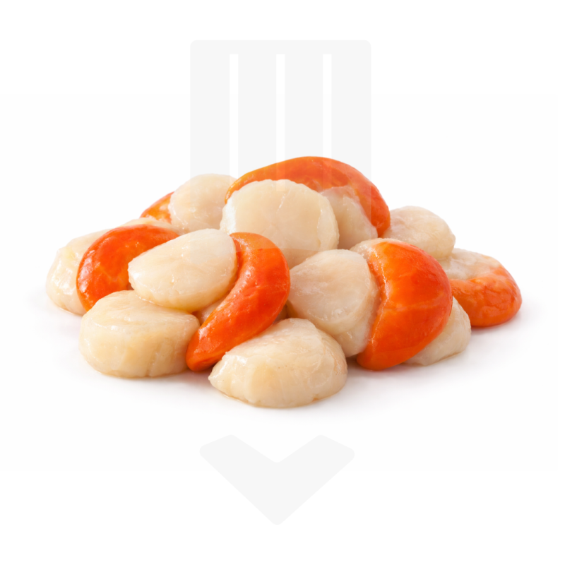 Noix de St Jacques avec corail d'origine Pérou