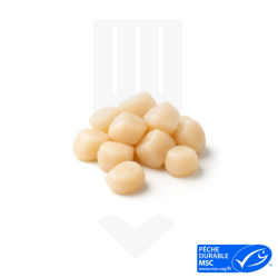 Noix de Saint-Jacques d'Argentine sans corail LBS