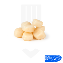 Noix de Saint-Jacques sans corail IQF surgelées MSC