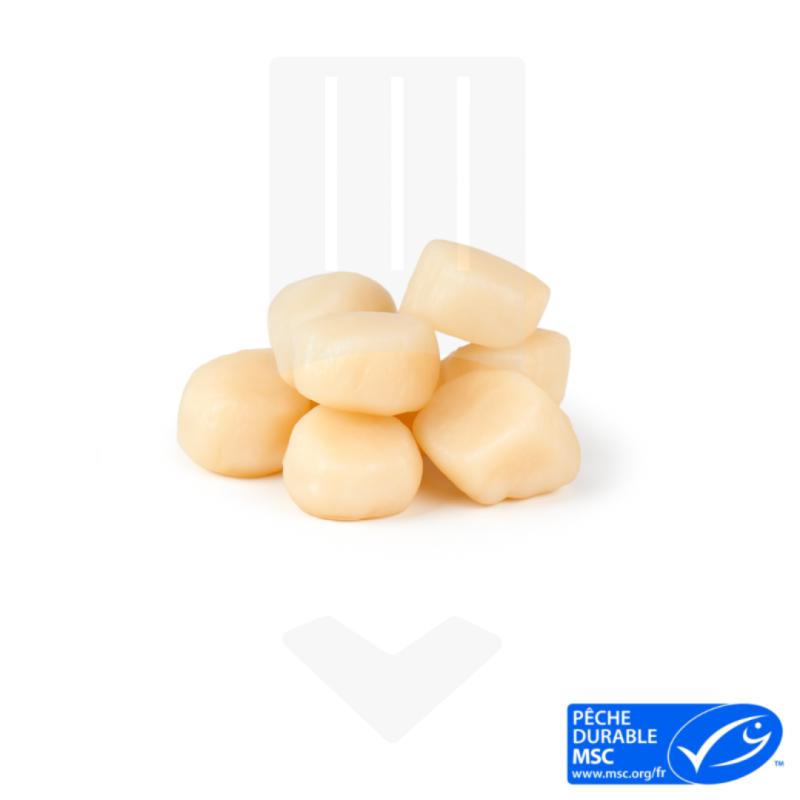 Noix de Saint-Jacques sans corail IQF surgelées MSC