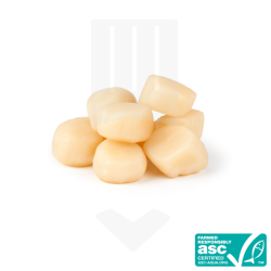 Noix de Saint Jacques certifiées ASC 20/30
