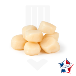 Saint-Jacques sans corail, 10/20 lb origine France