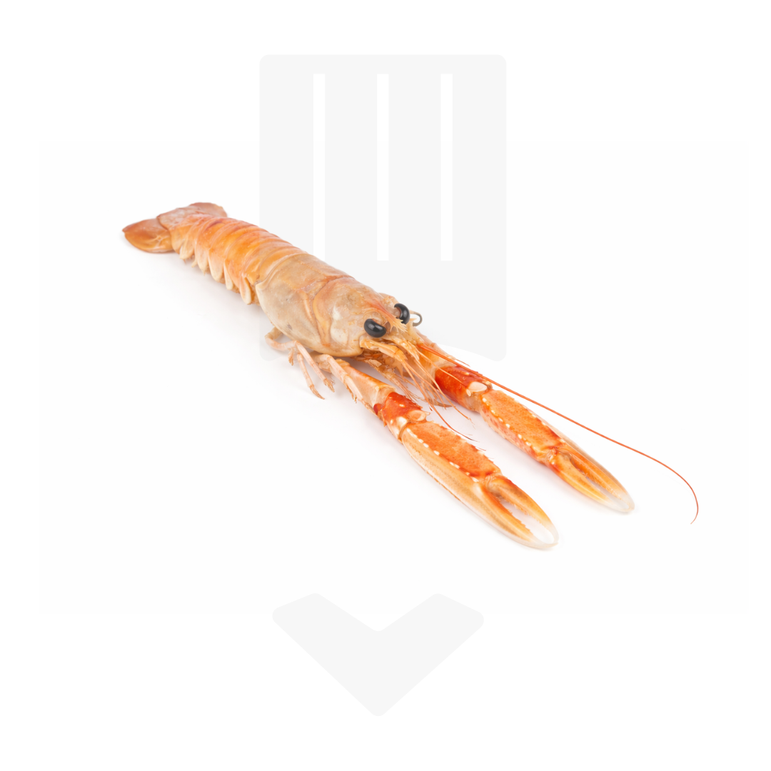 Langoustines entières d'UE surgelées de 21/30