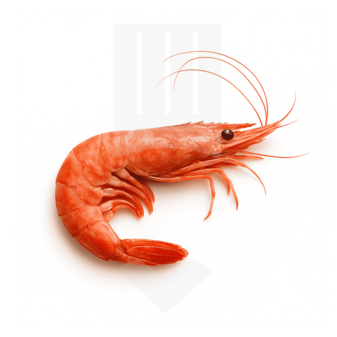 Crevettes rouges crues 10/20 mer d'Argentine