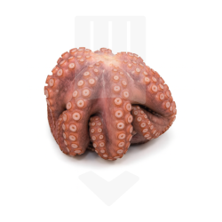 Poulpe entier nettoyé cru surgelé +/-400gr