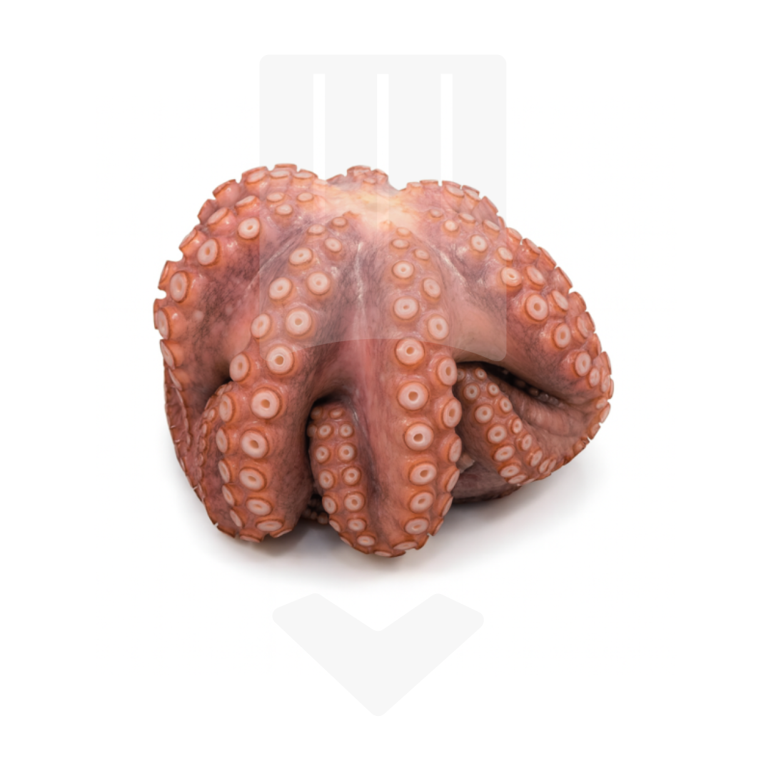 Poulpe entier nettoyé cru surgelé +/-400gr