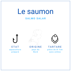 Tartare de saumon 70gr - grossiste produits de la mer