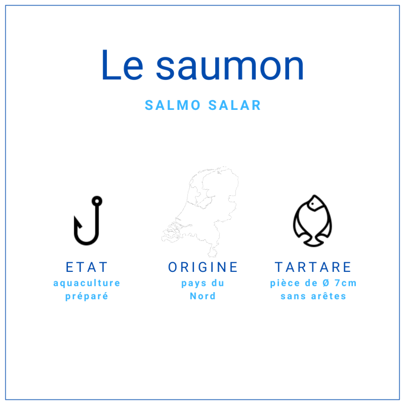 Tartare de saumon 70gr - grossiste produits de la mer
