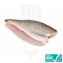 Filet surgelé IQF de dorade royale avec peau