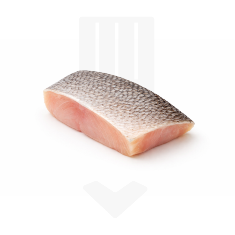 Pavé de dorade de l'océan pacifique ouest