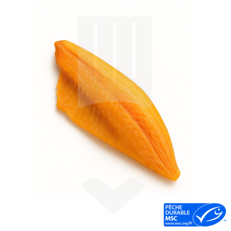 Filet de colin lieu fumé sans peau IQF