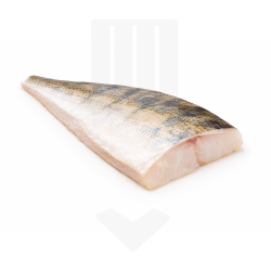 Filet de sandre sans arêtes surgelé IQF de Russie