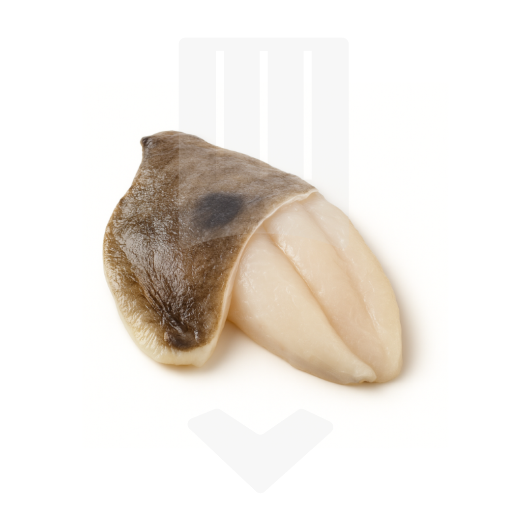 Filet de Saint-Pierre avec peau IQF de Chine